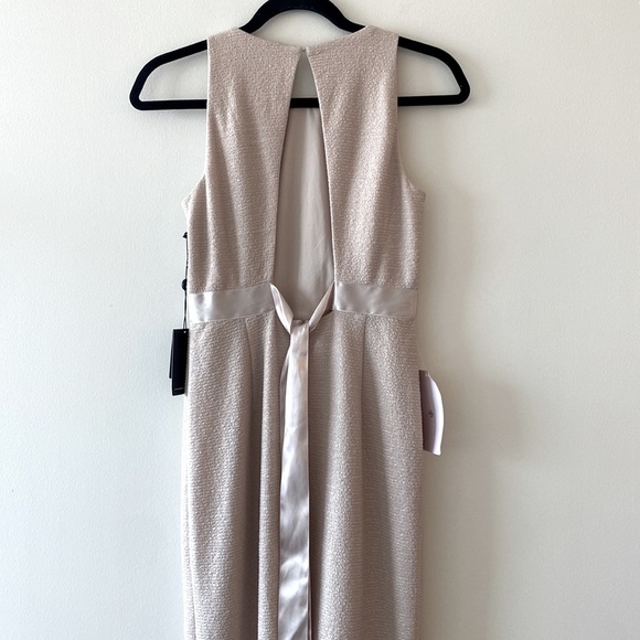 BHLDN Adrianna Papell Idris Dress in Champagne - Picture 13 of 16